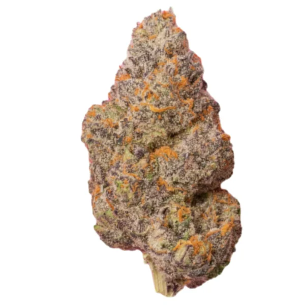 Half Ounce Bundle