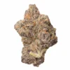 Half Ounce Bundle