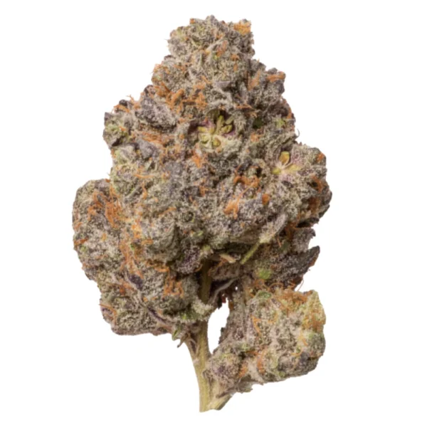 Half Ounce Bundle